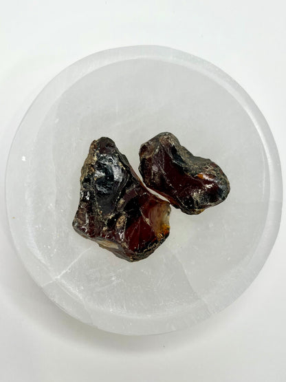 Amber // Cherry // Fossilized // Tree Resin