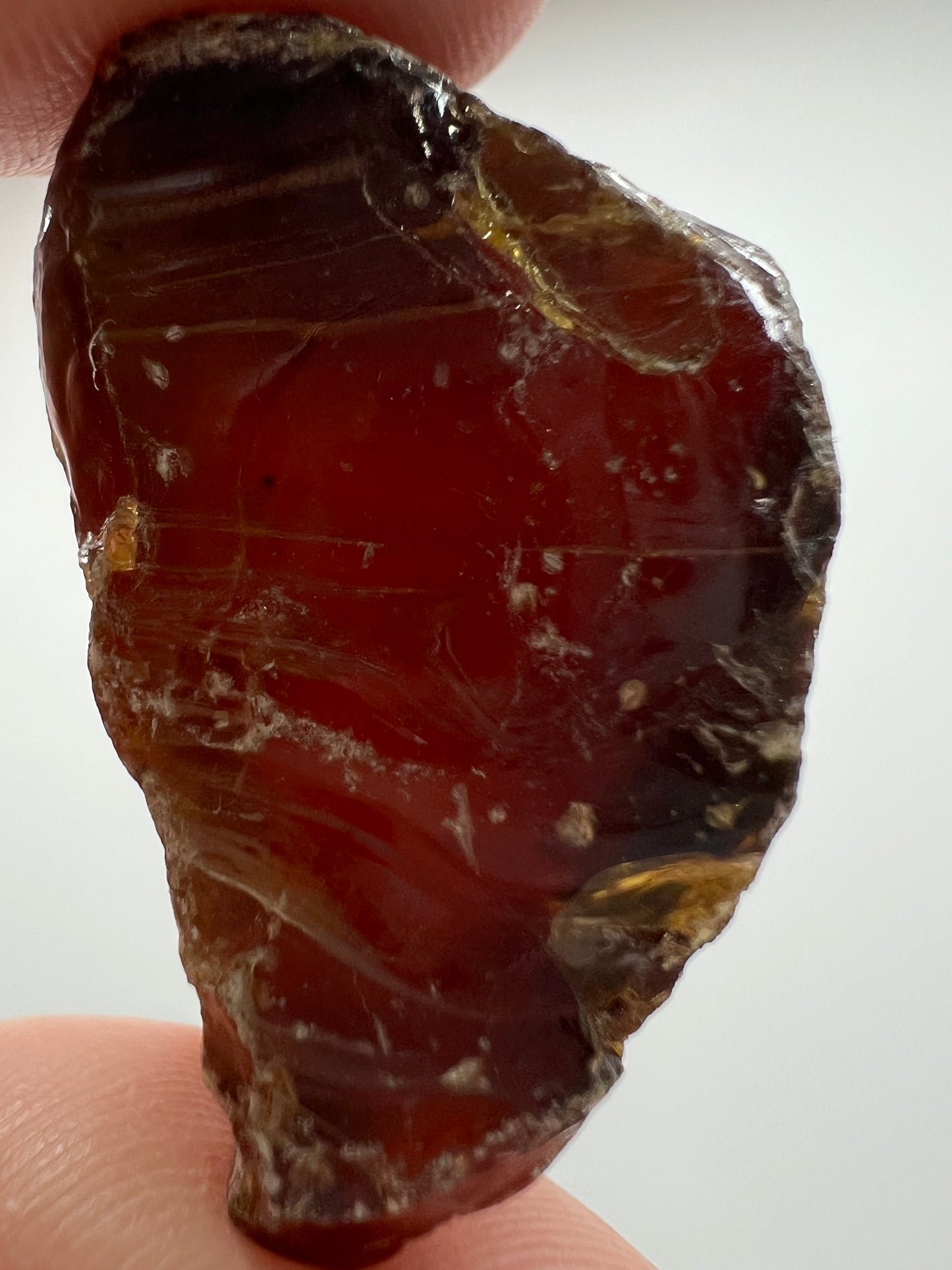 Amber // Cherry // Fossilized // Tree Resin