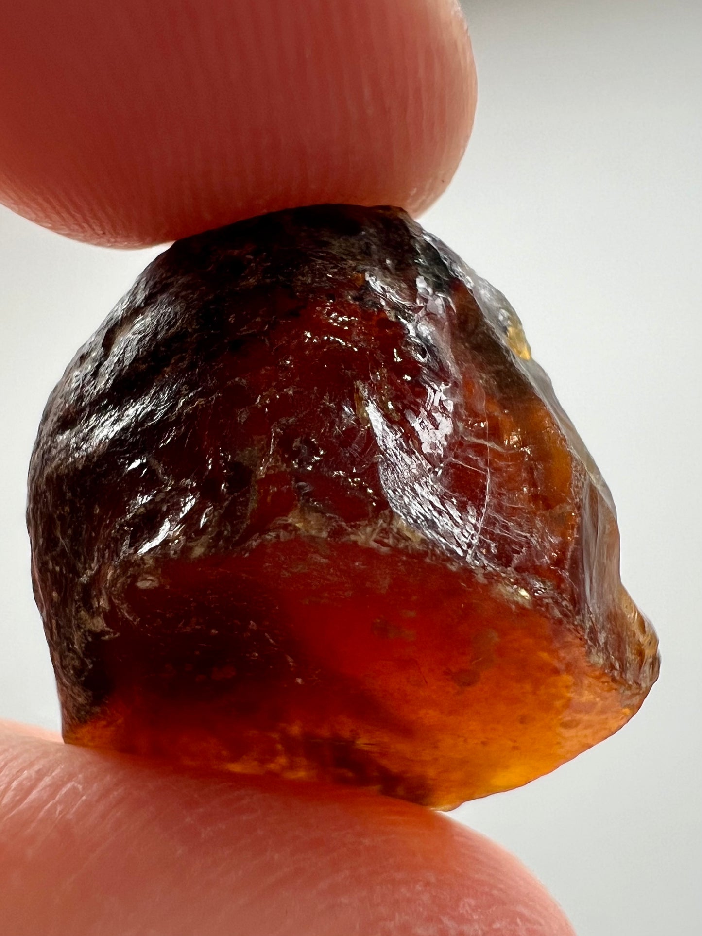 Amber // Cherry // Fossilized // Tree Resin