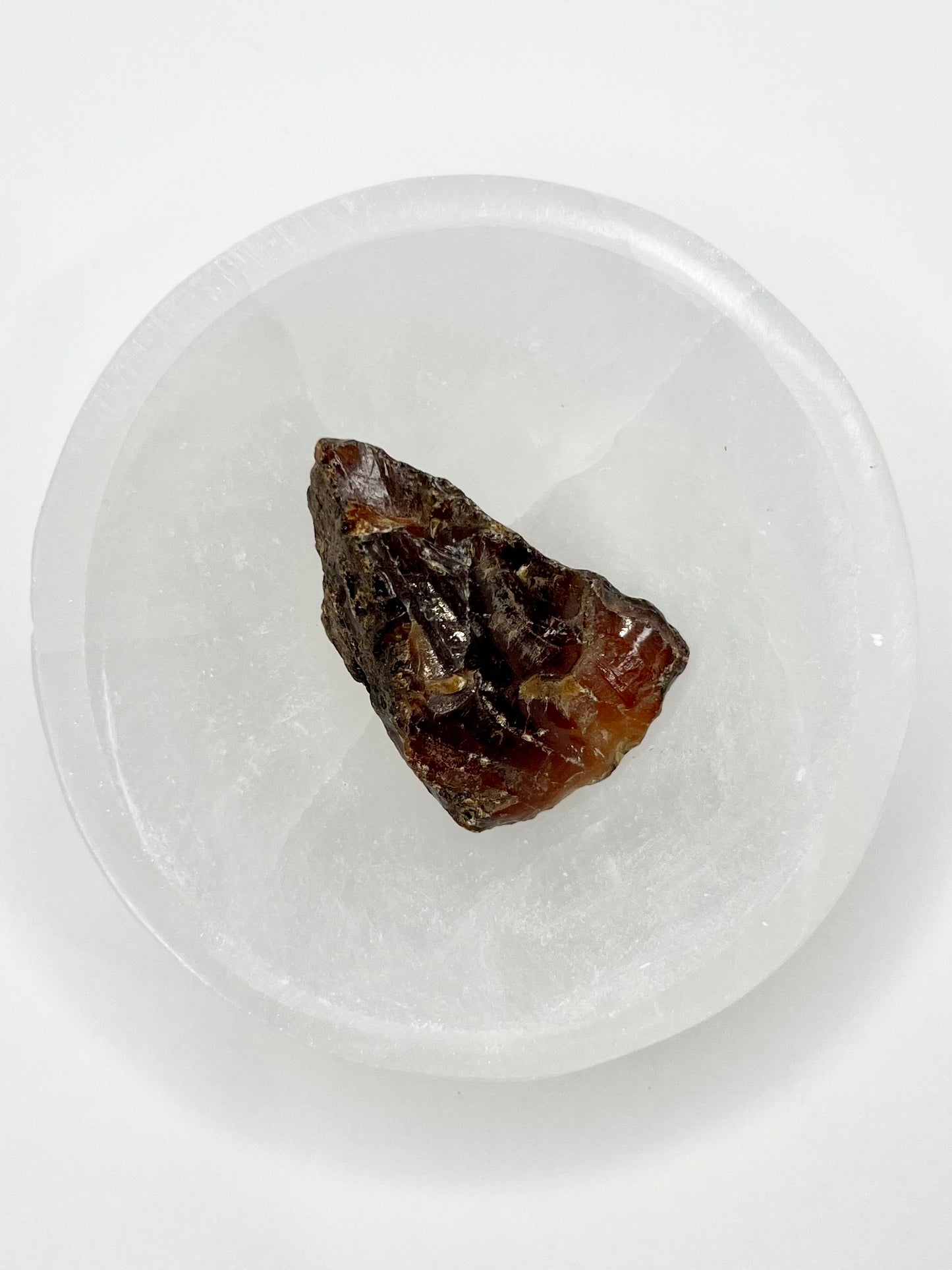 Amber // Cherry // Fossilized // Tree Resin