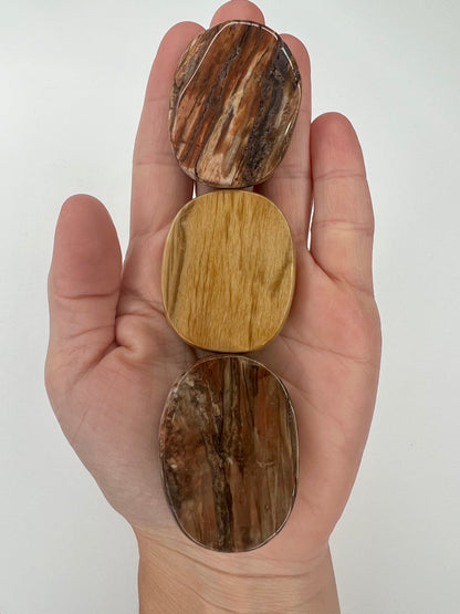 Petrified Wood // Smooth Stone