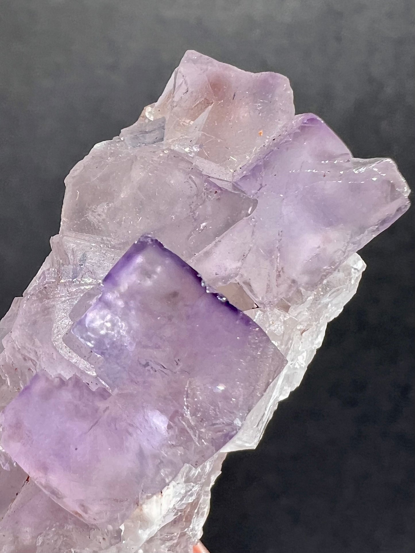 Fluorite // Purple // Rough