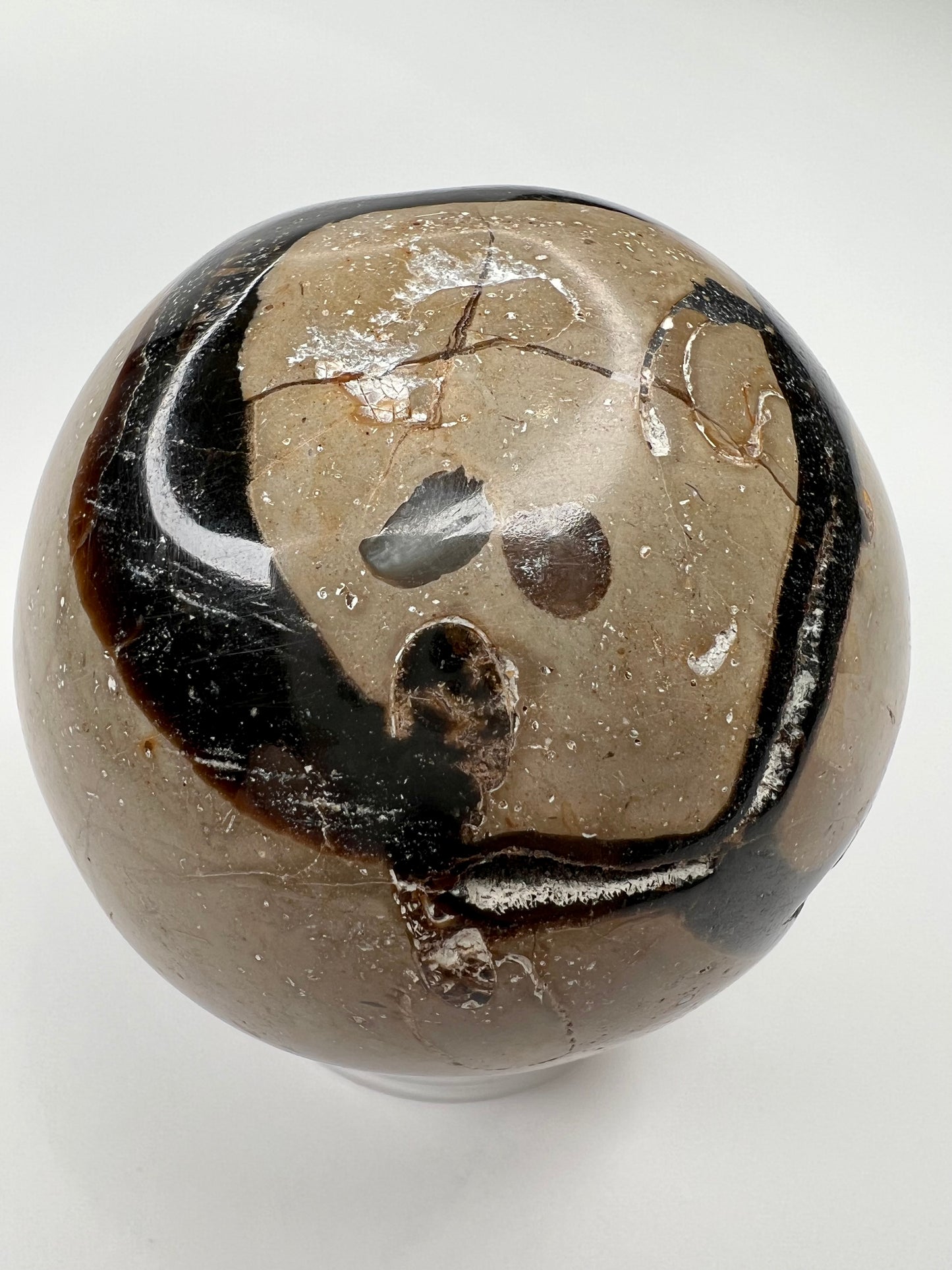 Septarian // Dragon // Sphere