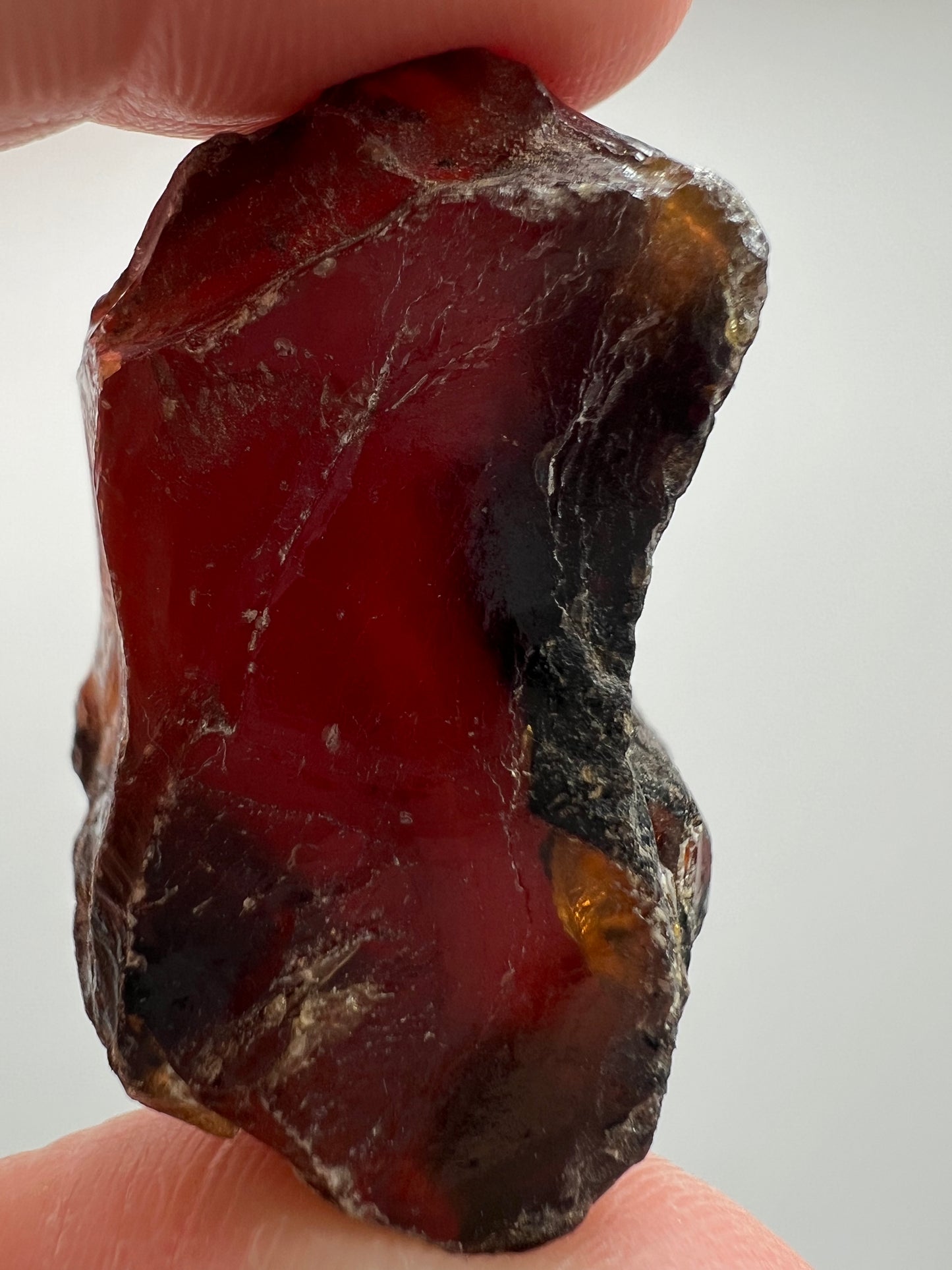 Amber // Cherry // Fossilized // Tree Resin