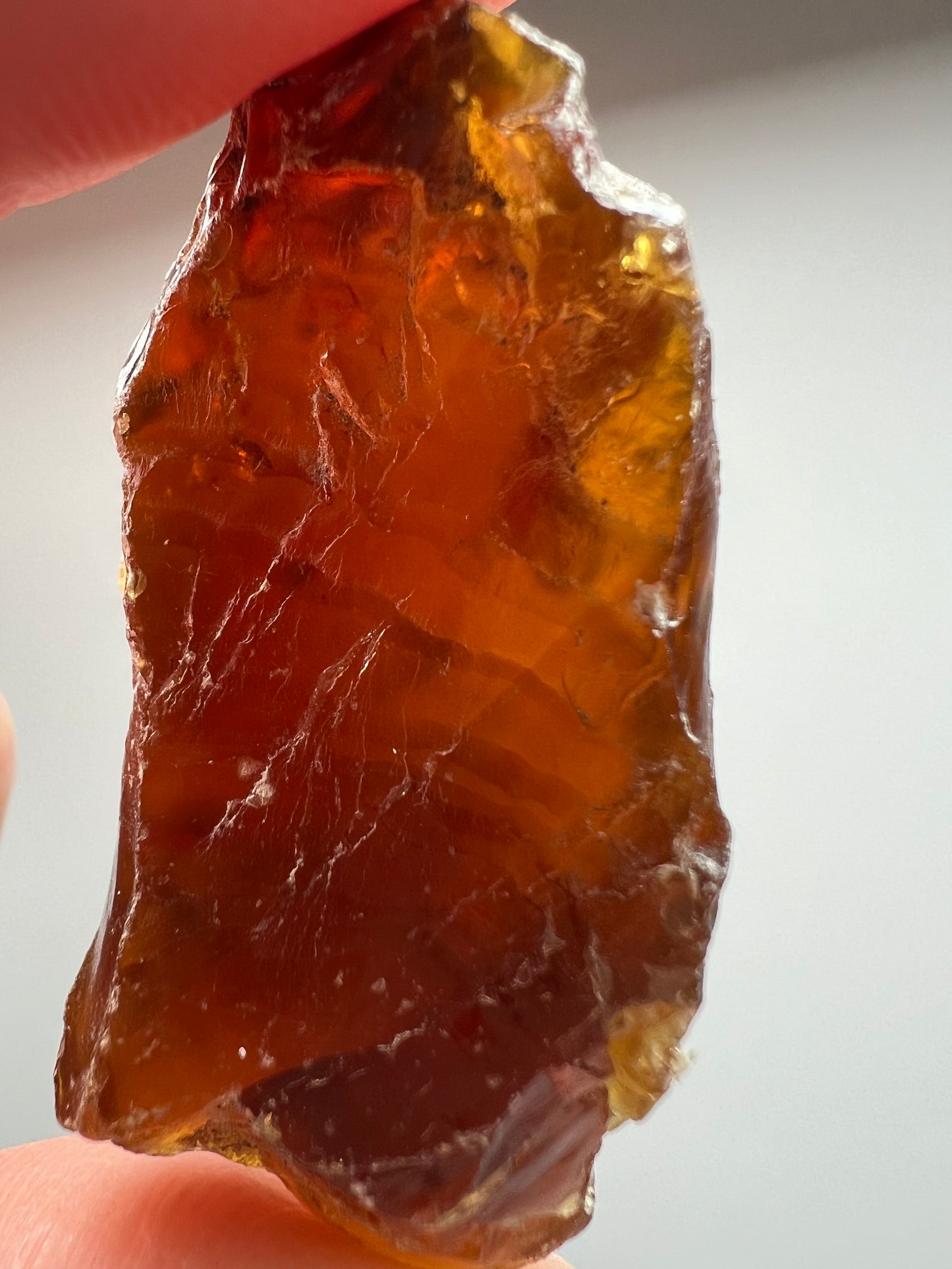 Amber // Cherry // Fossilized // Tree Resin