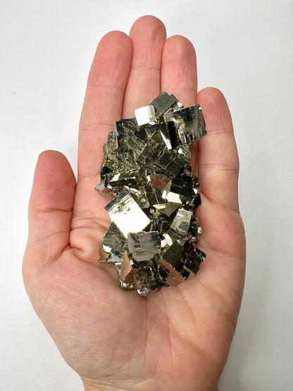 Pyrite // Cluster