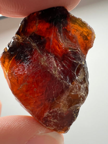 Amber // Cherry // Fossilized // Tree Resin