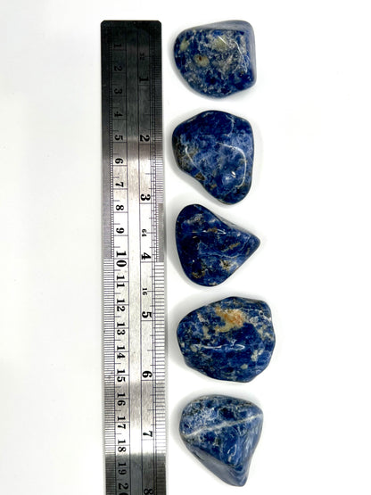 Sodalite // Tumbled