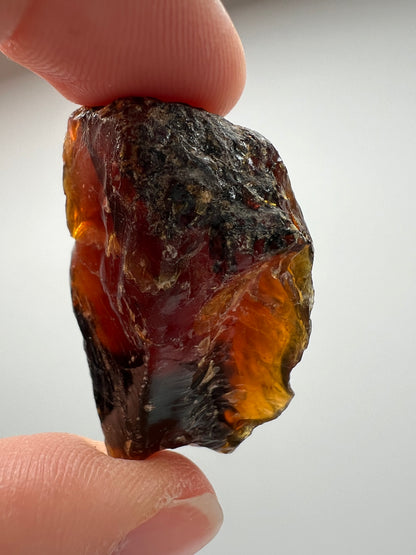 Amber // Cherry // Fossilized // Tree Resin