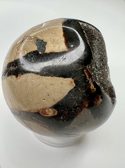 Septarian // Dragon // Sphere