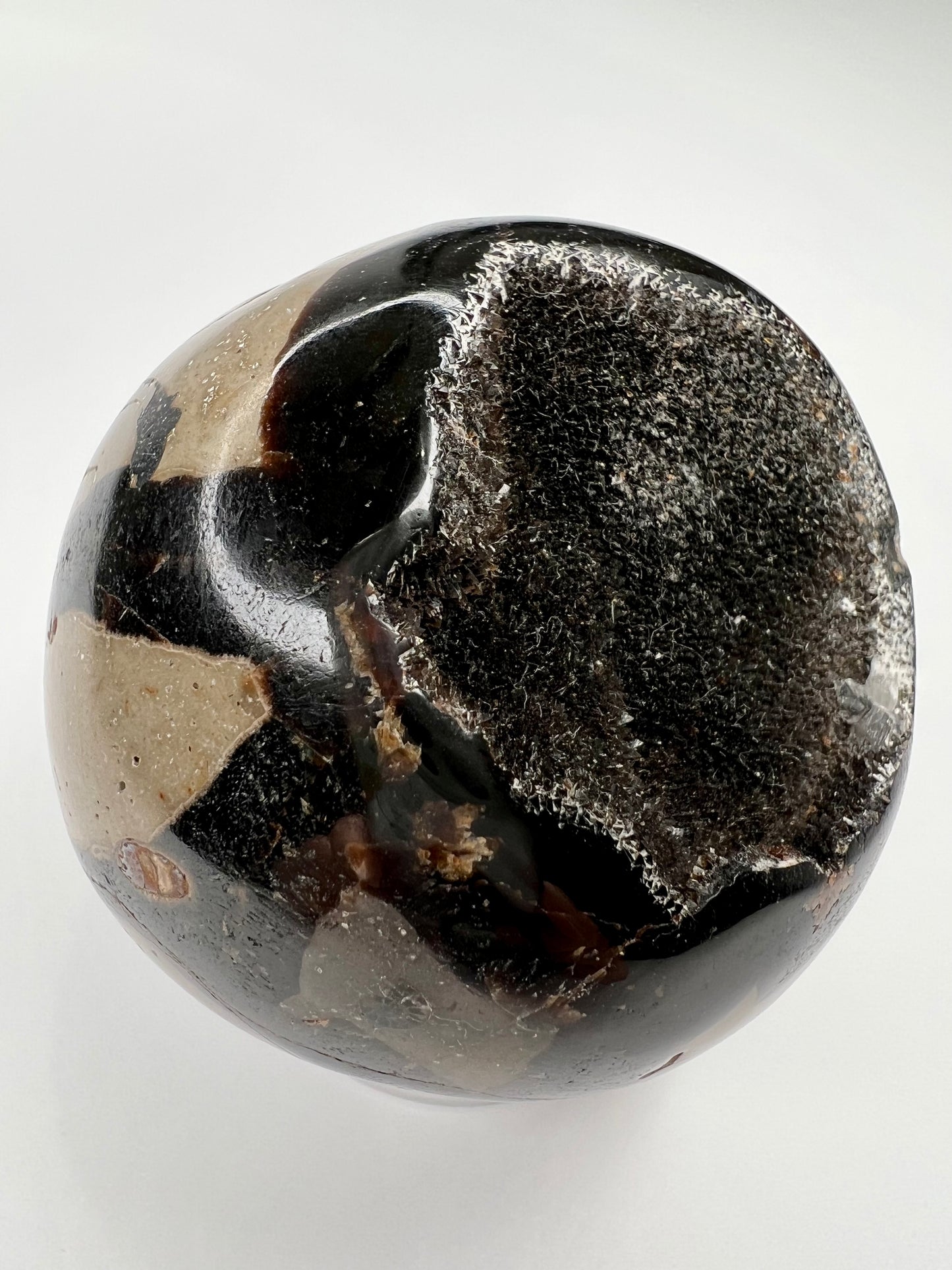 Septarian // Dragon // Sphere