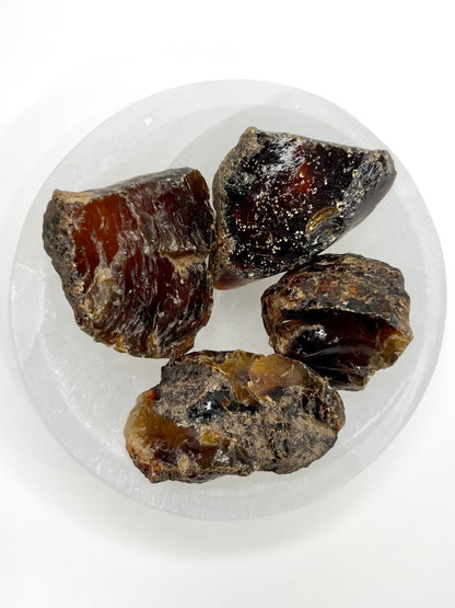 Amber // Cherry // Fossilized // Tree Resin